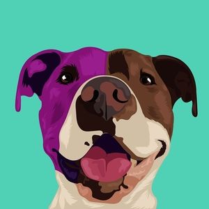 Meet your Posher, Suzie